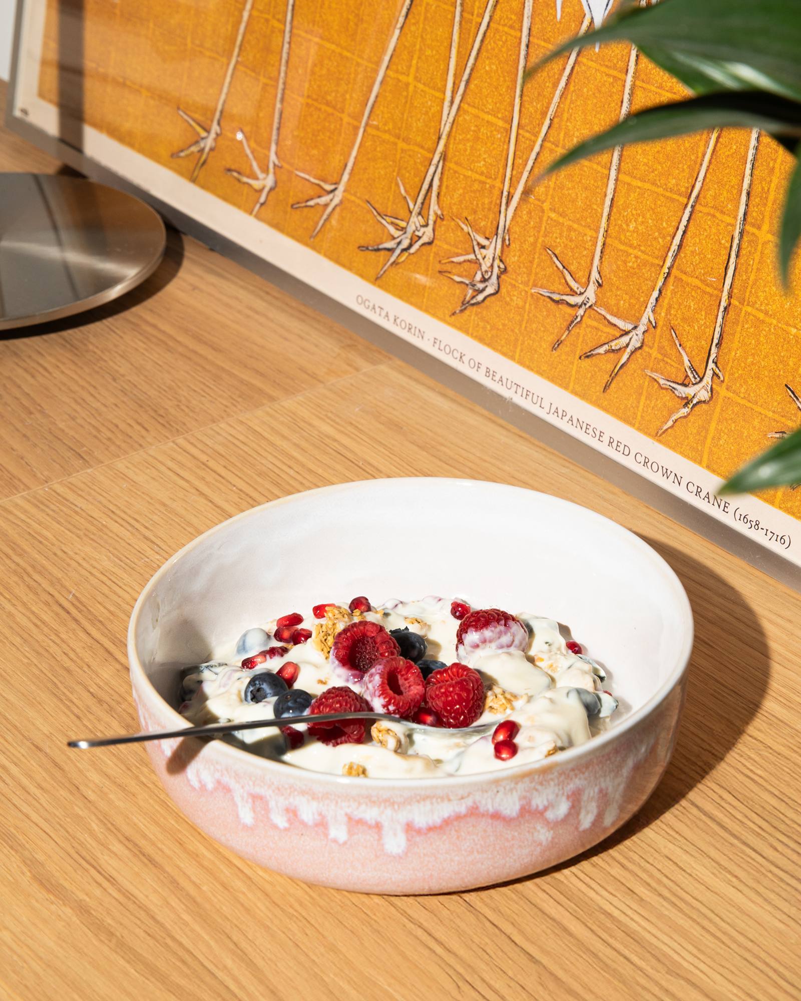 Cordoama - Cerealbowl rose