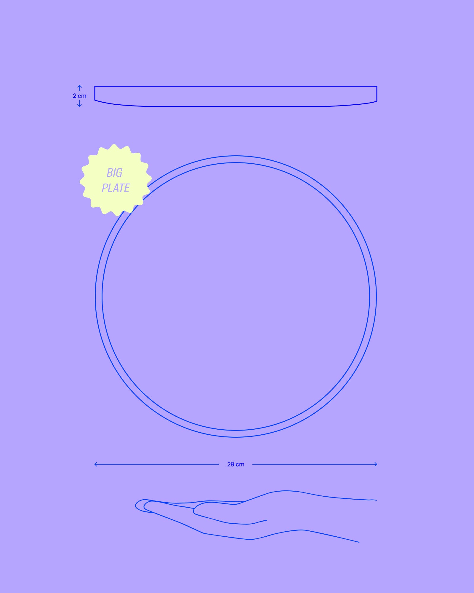 Illustration eines großen Tellers (29 cm Durchmesser, 2 cm Höhe), gehalten von einer Hand, mit dem Text "BIG PLATE".