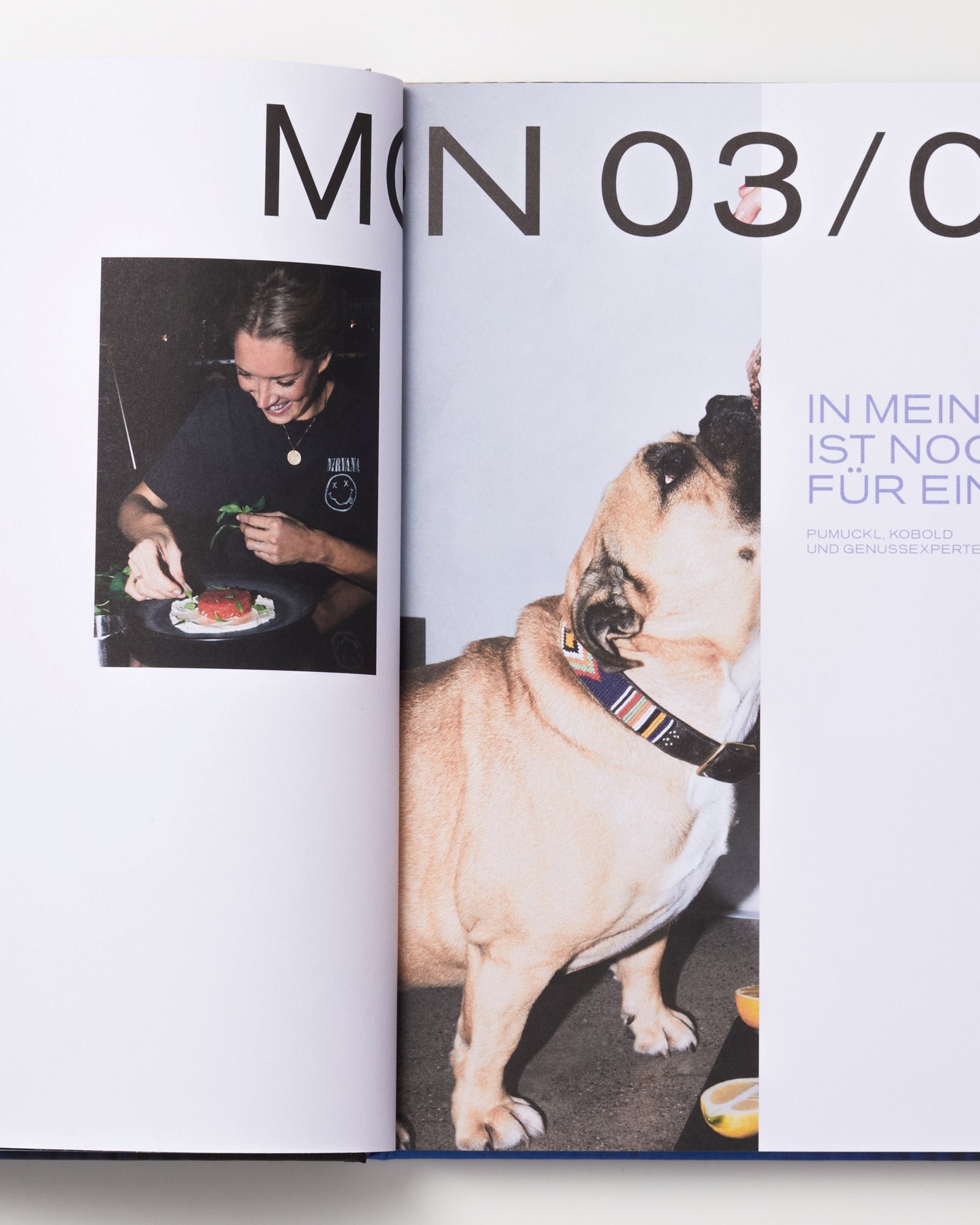 Aufgeschlagenes Buch mit einer Frau, die Essen dekoriert, und einem Hund, der hochsieht.