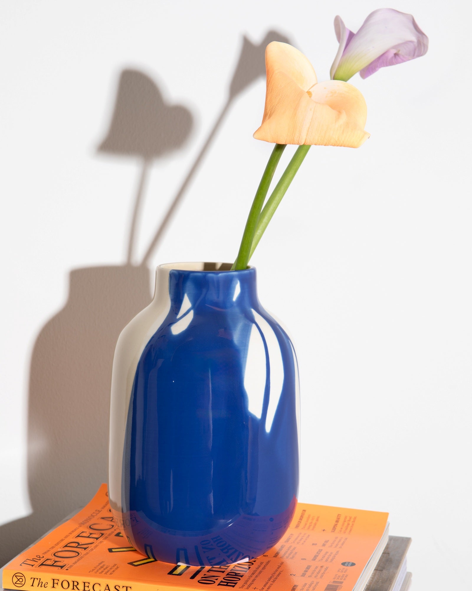 Blaue Vase mit zwei Blumen auf einem orangefarbenen Buch, Schatten spiegeln sich an der Wand.