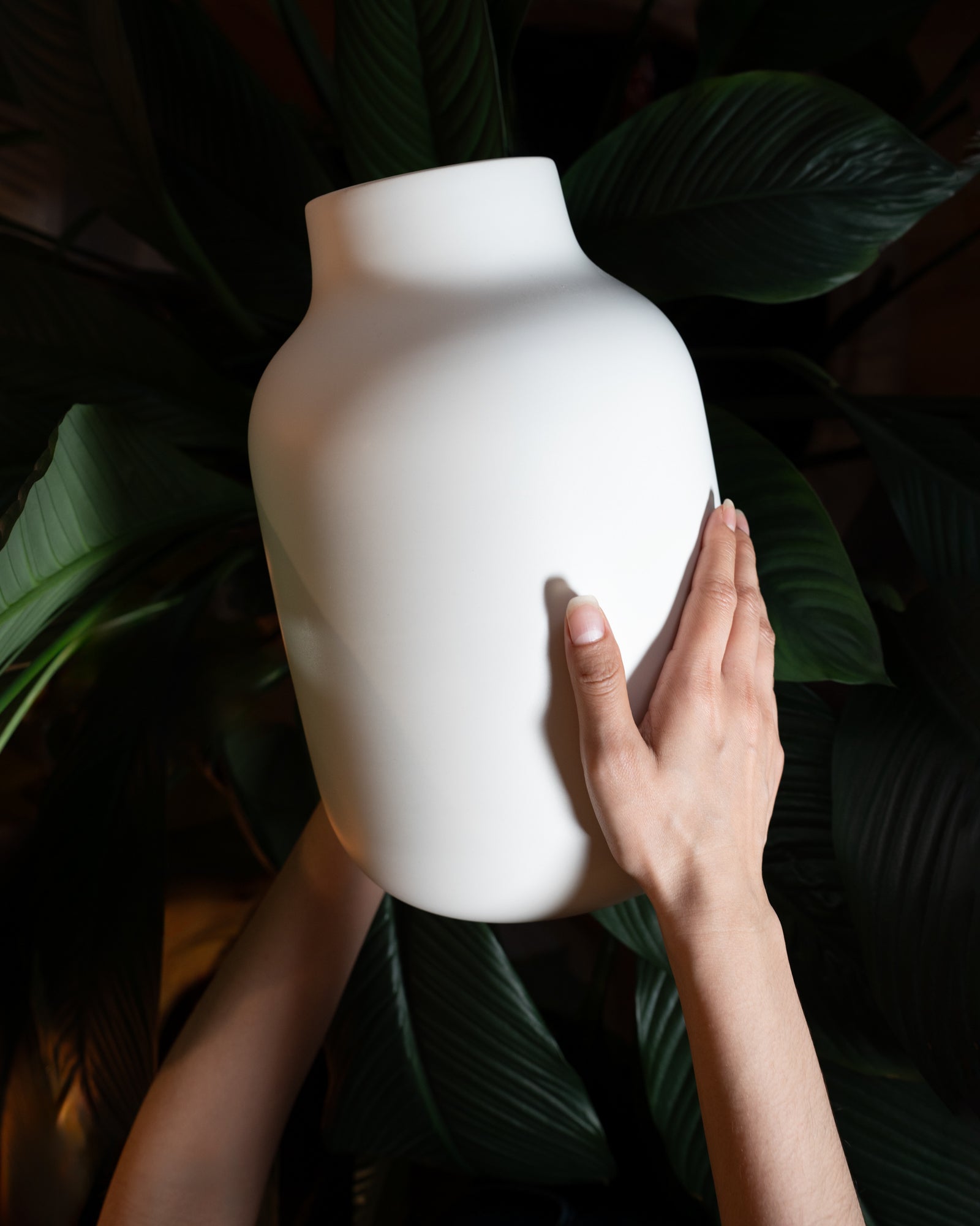 Eine weiße Vase wird von zwei Händen gehalten, umgeben von großen, grünen Blättern.