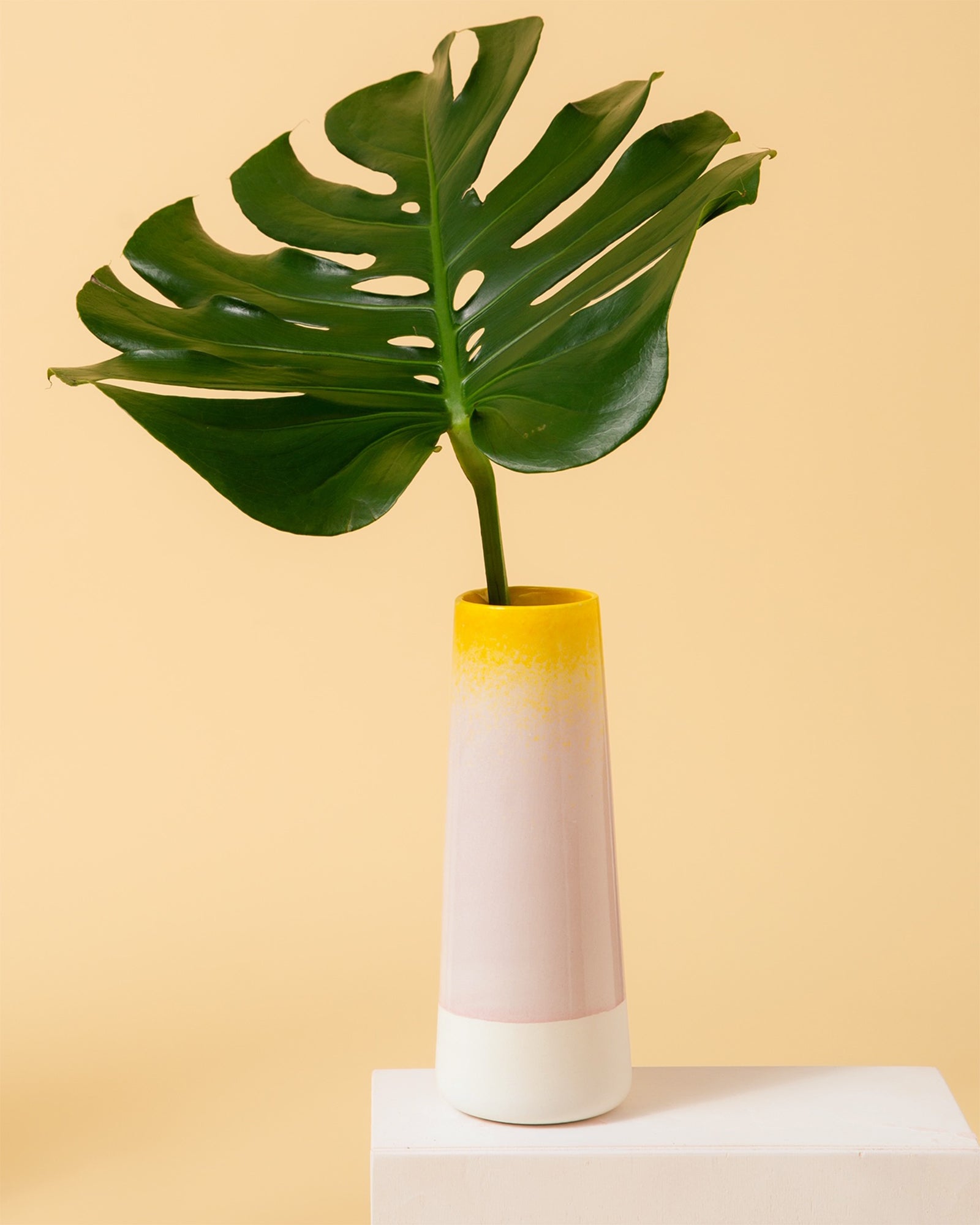 Grünes Monstera-Blatt in einer gelben Vase auf weißem Podest vor einem beigen Hintergrund.