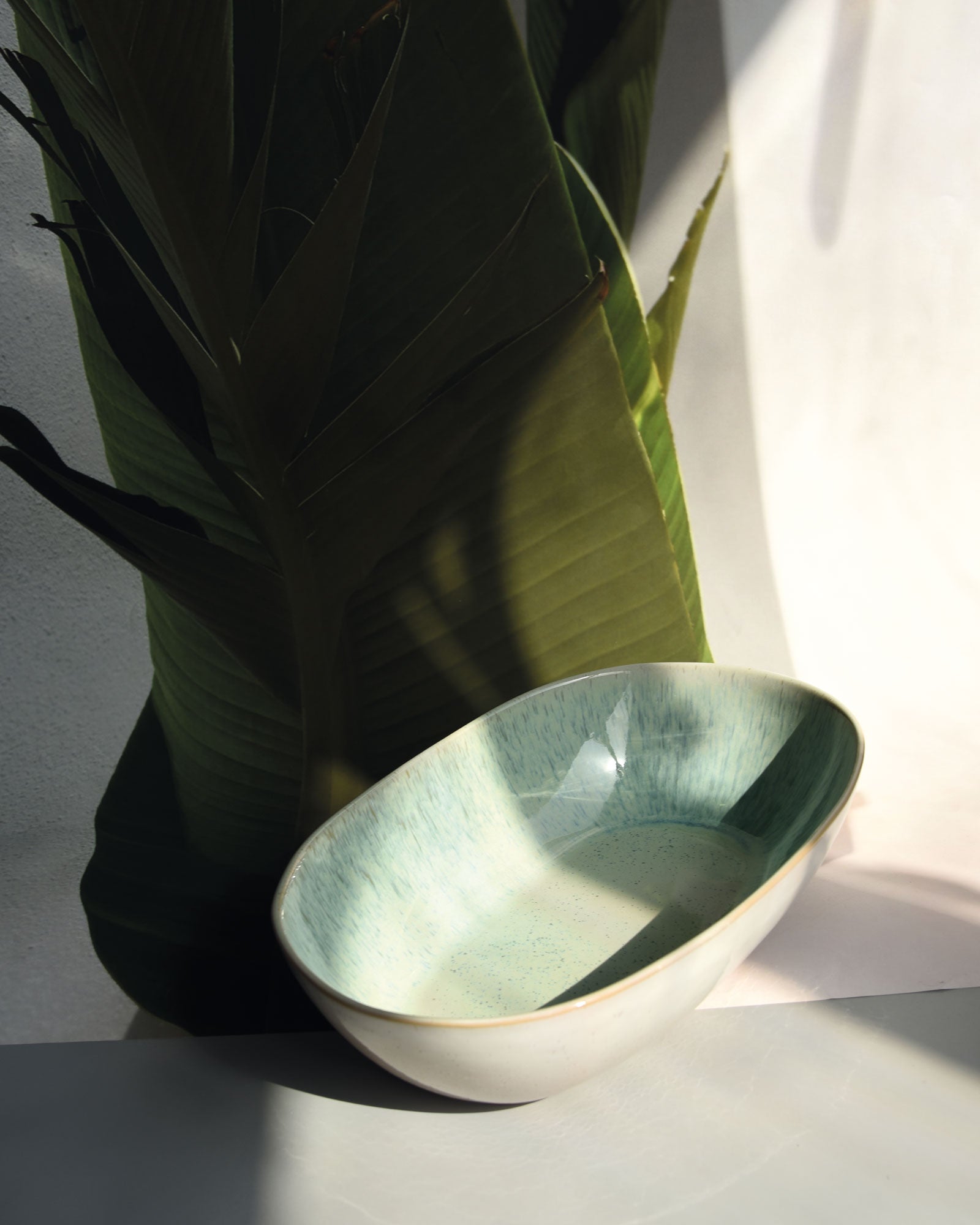 Weiße Keramikschale mit blauer Innenseite, auf einem Tisch neben einer großen, grünen Blattpflanze, im Sonnenlicht.