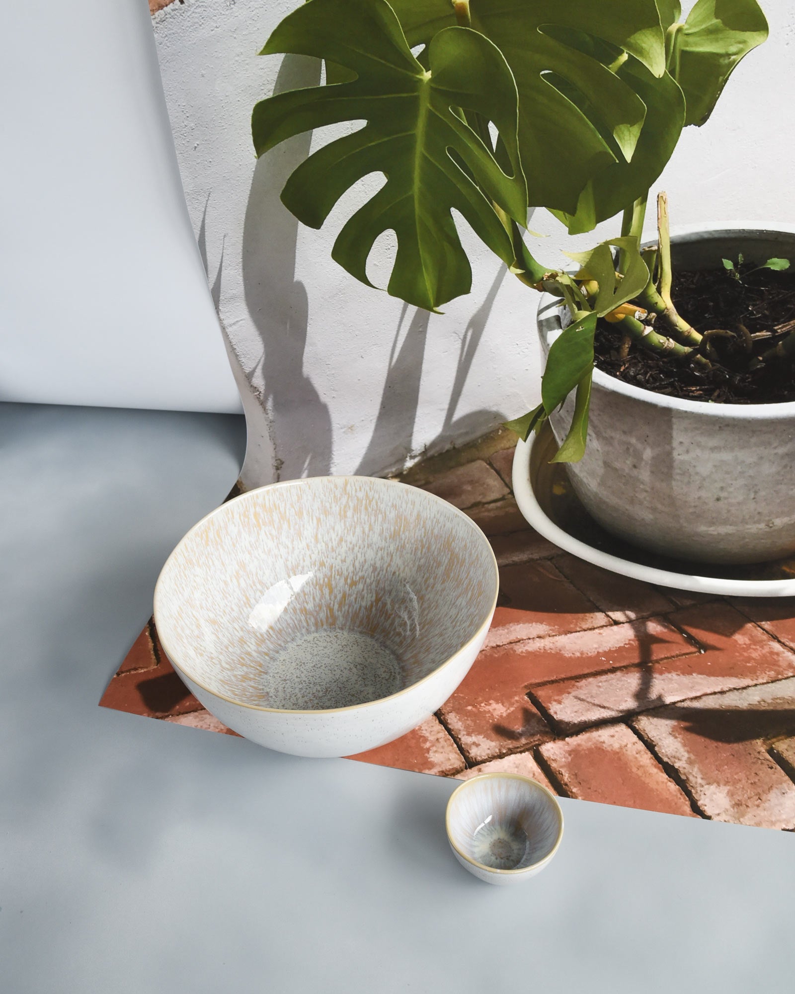 Eine große Schüssel und eine kleine Schüssel stehen auf einem grauen Untergrund neben einem Topf mit einer grünen Pflanze.