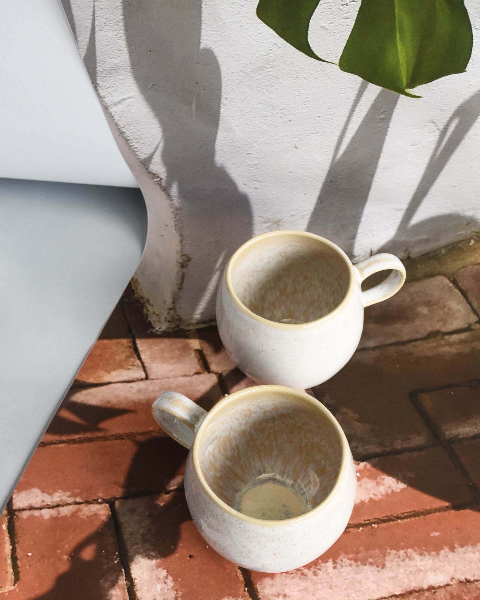 Zwei weiße Tassen stehen auf roten Backsteinen, neben einer weißen Wand mit Pflanzen im Sonnenlicht.