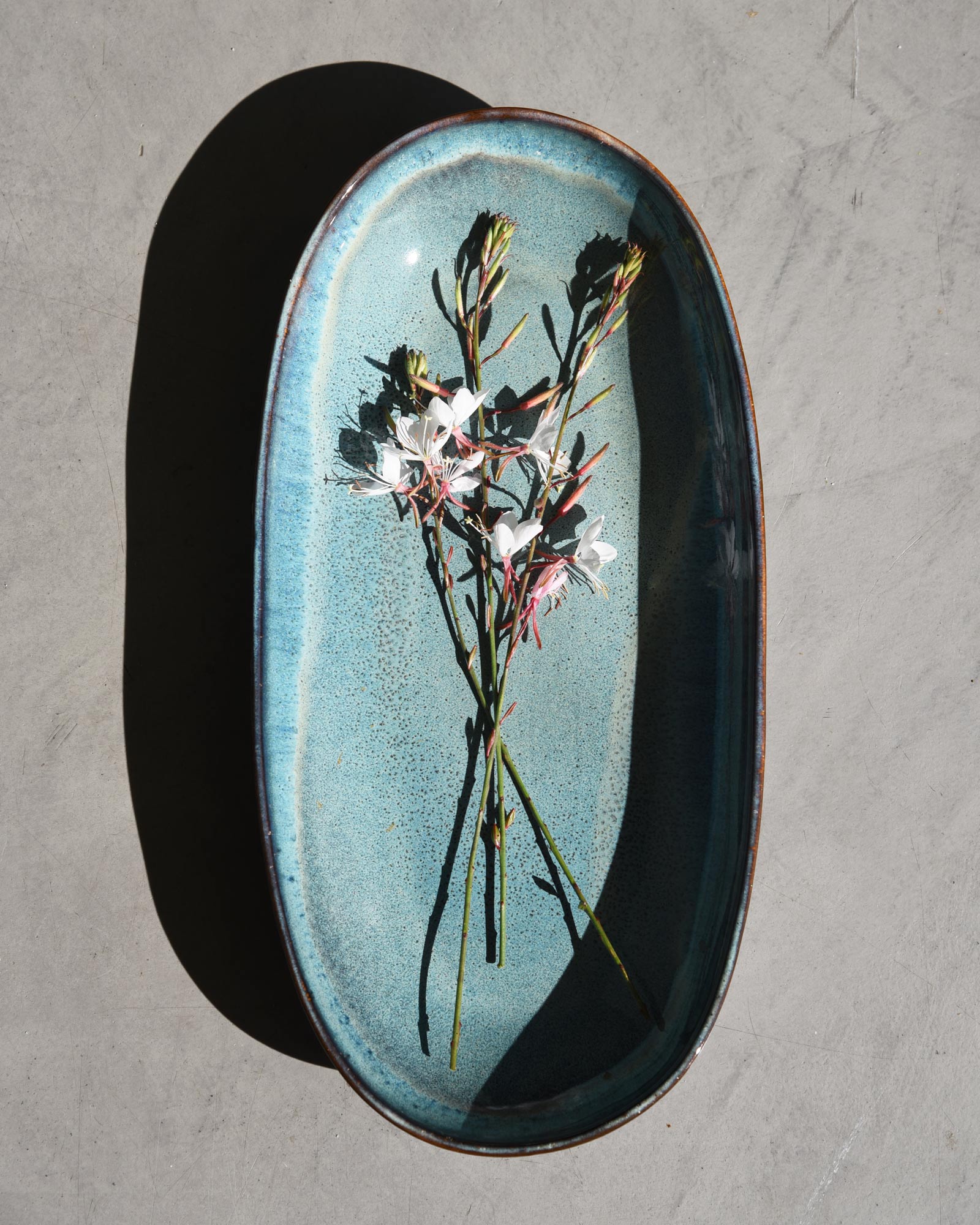 Zwei weiße Blumen mit langen Stielen liegen auf einem ovalen, blauen Keramikteller auf einem grauen Untergrund.
