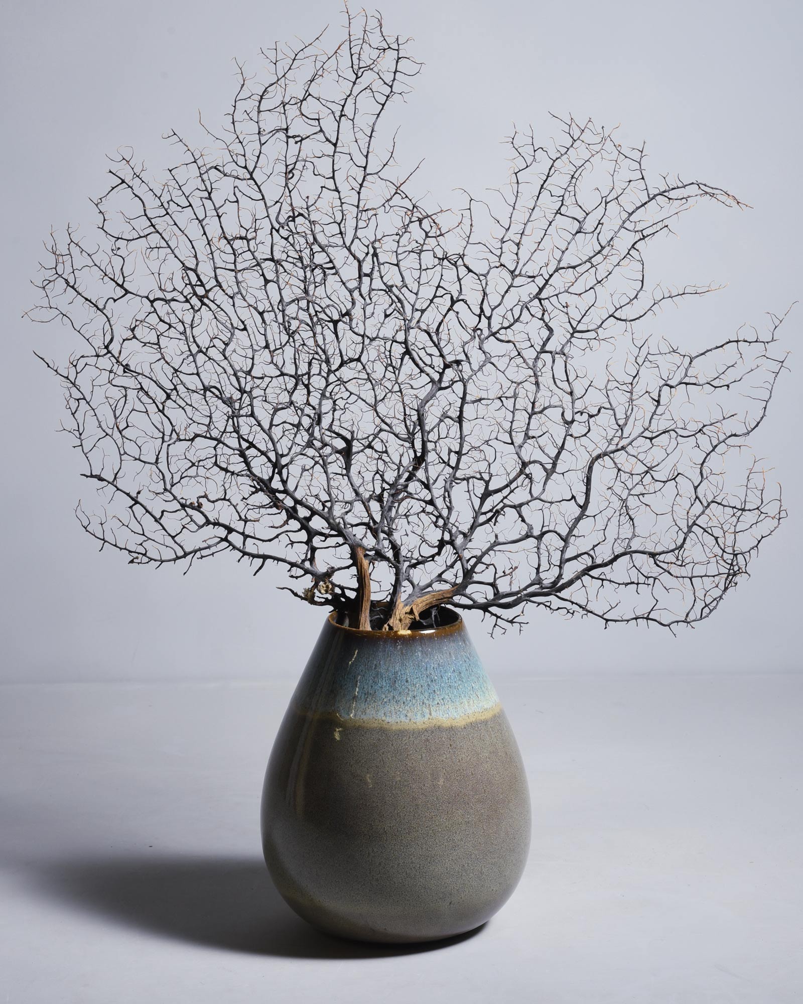 Ein brauner Keramikvase mit einem dekorativen, getrockneten Zweigarrangement gegen einen hellgrauen Hintergrund.