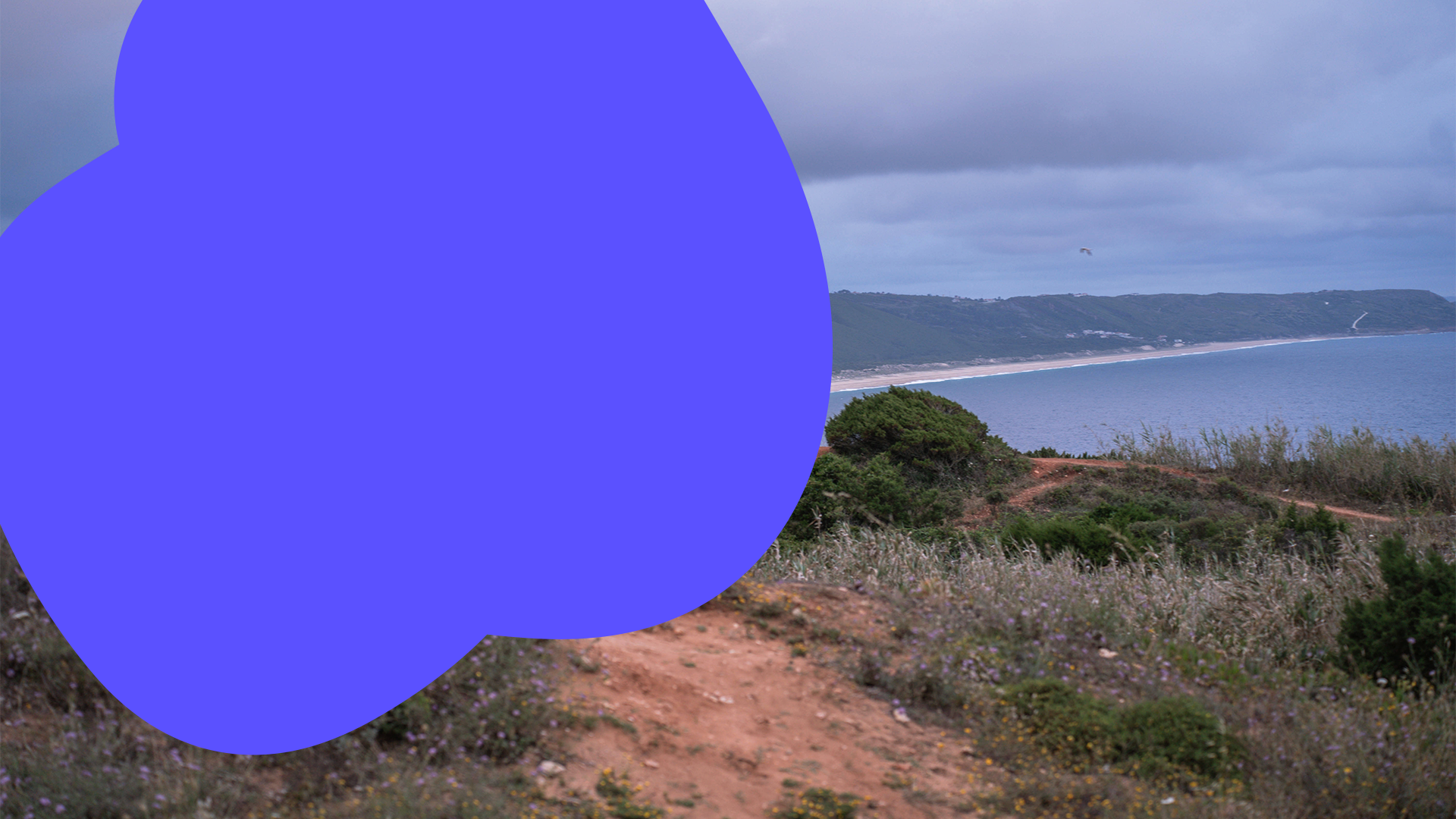 Blick auf eine Küste mit Strand und Meer, im Vordergrund ein Weg und Pflanzen, links eine große blaue Fläche.