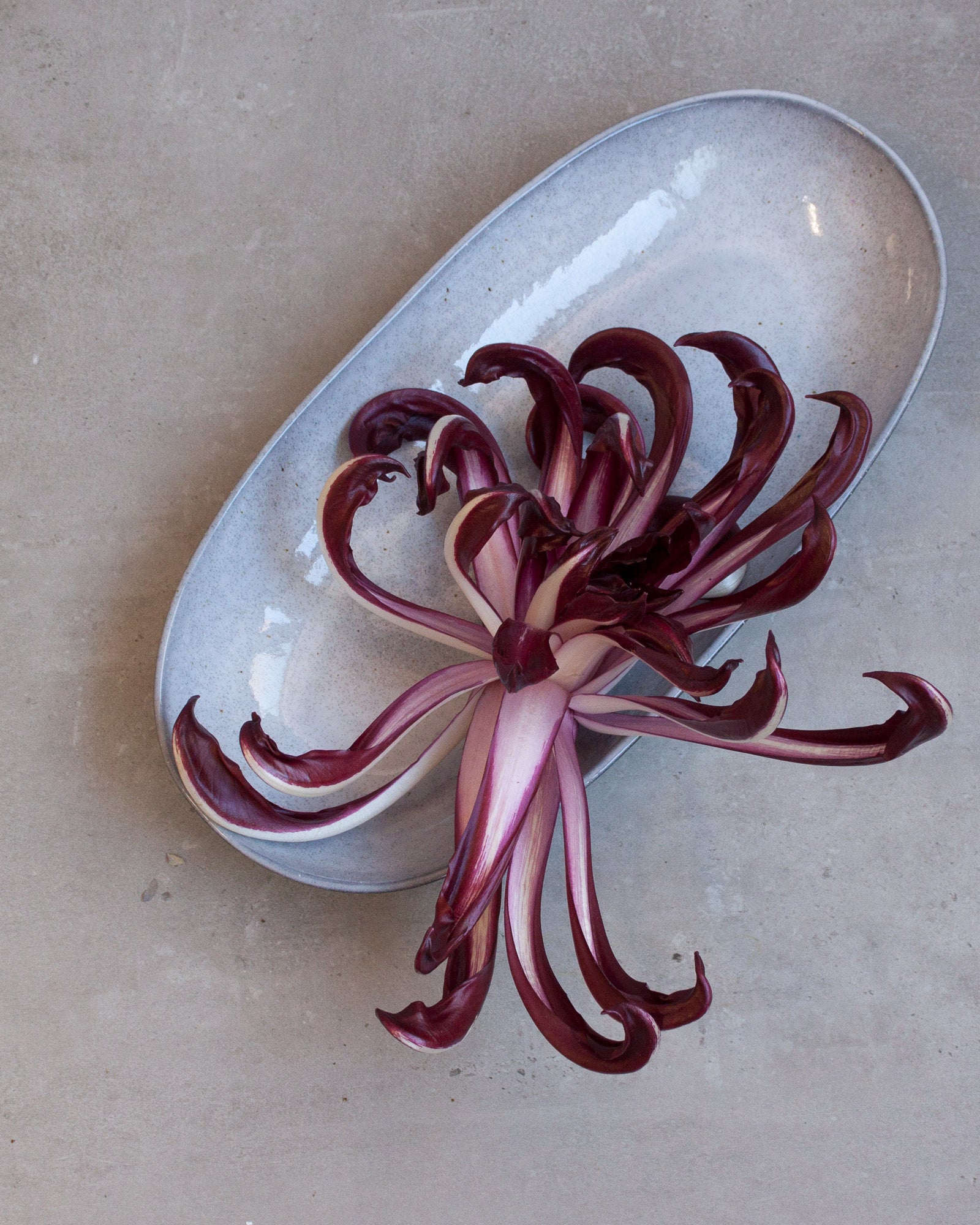 Lila Chicorée auf einem ovalen, grauen Teller mit Betonhintergrund.