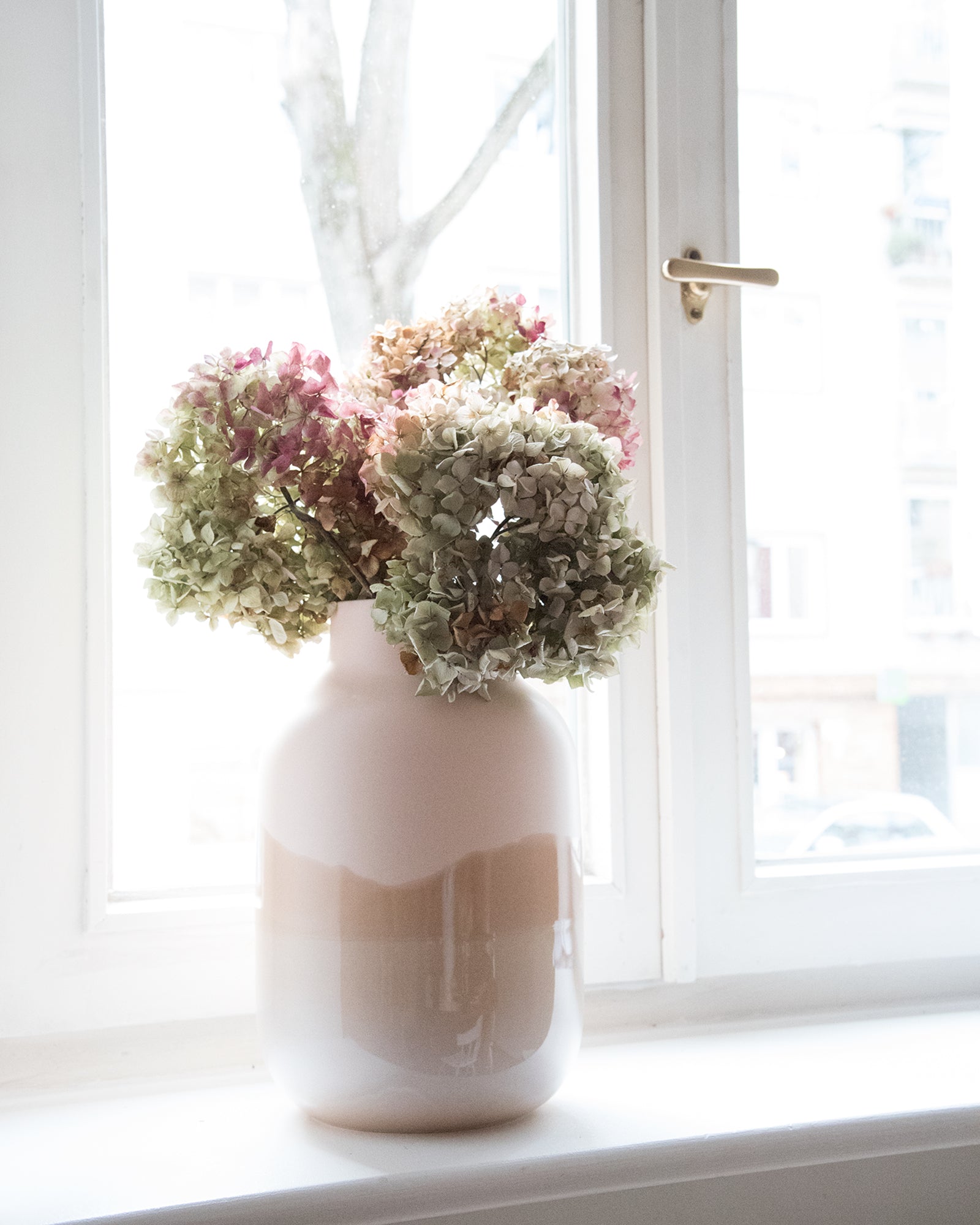 Blühende Hortensien in einer weiß-beigen Vase auf einer Fensterbank vor einem Fenster mit Helllicht im Hintergrund.