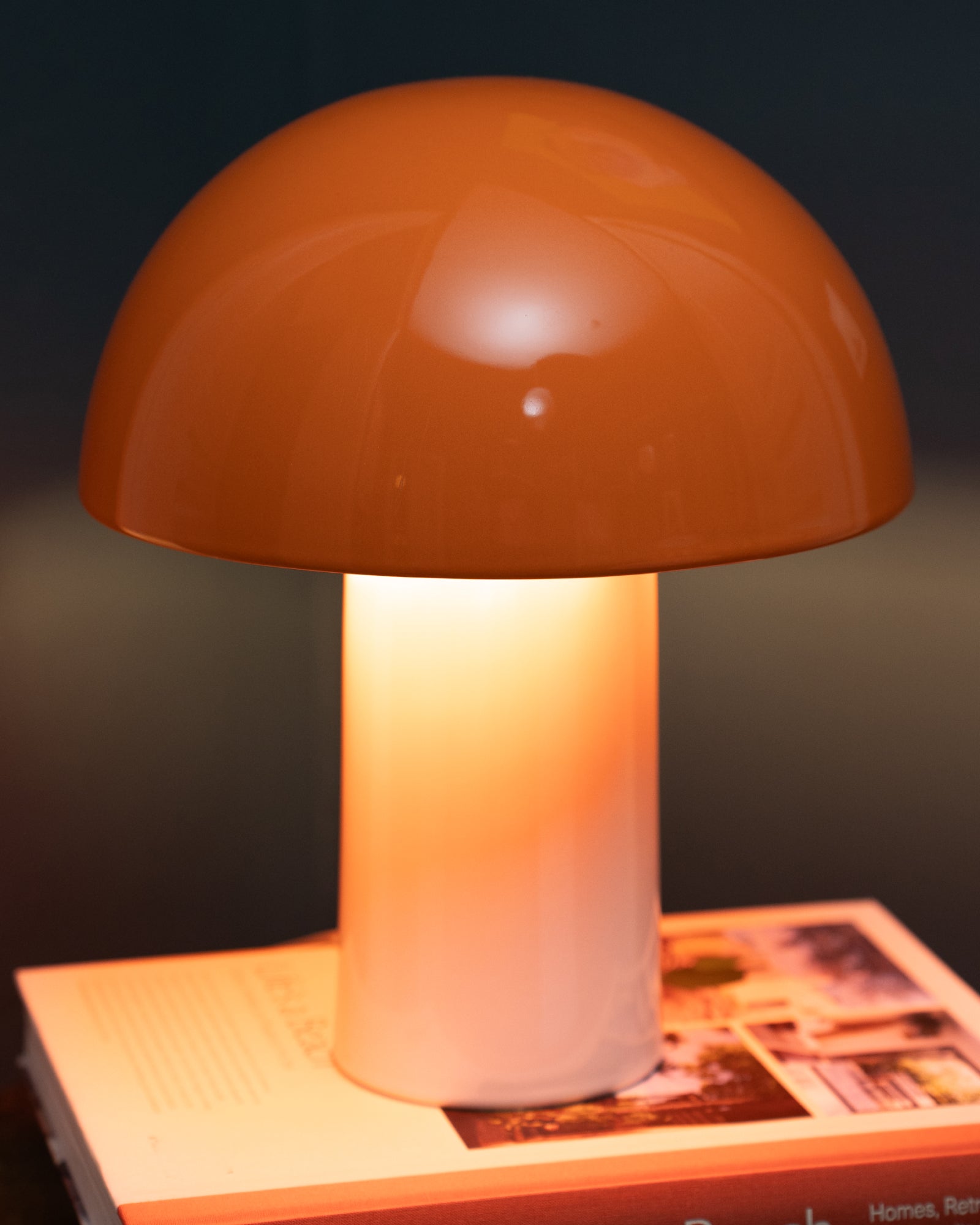 Eine orange Tischlampe mit halbkugelförmigem Schirm steht auf einem aufgeschlagenen Buch und beleuchtet es.