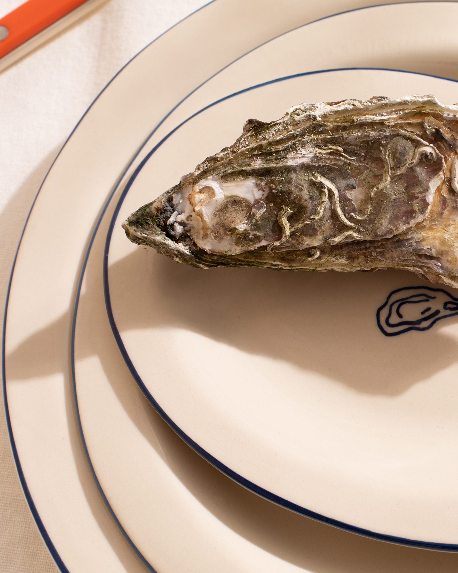 MaM x Sabre Paris Teller-Set blau 5-teilig